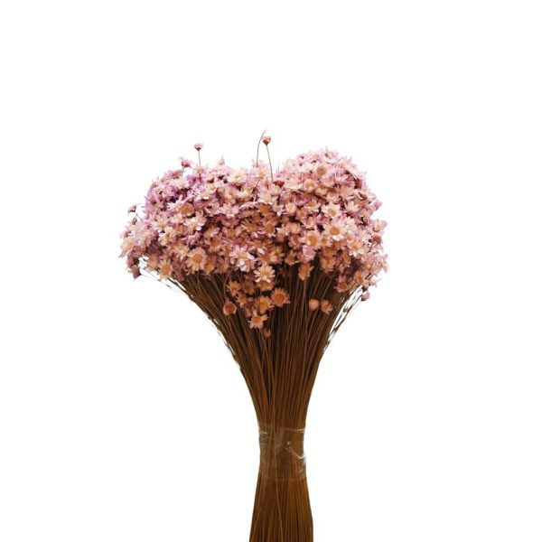 GLIXIA BREJEIRA GR.100 CM.50 WARM GRAU 105 GLIXIA BREJEIRA GR.100 CM.50 WARM GRAU 105