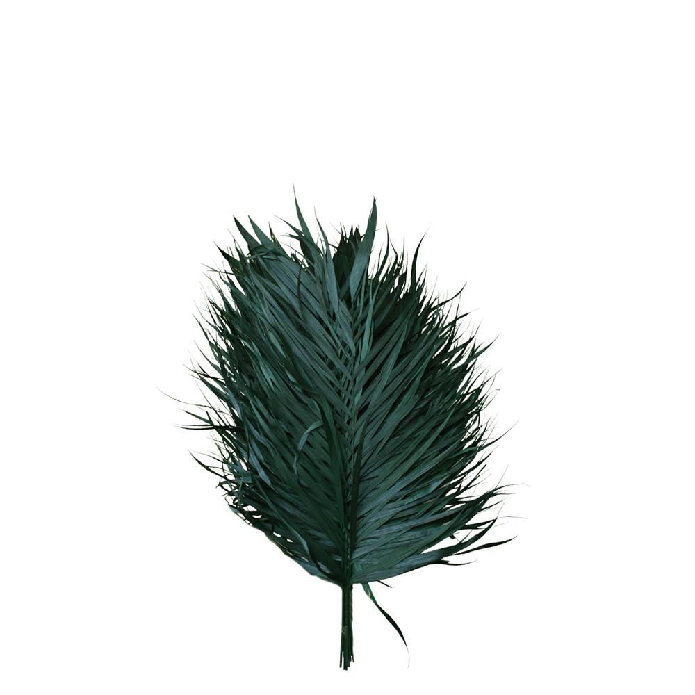 ARECA RAMO PEZZI 20 CM.60/75 VERDE 89 ARECA RAMO PEZZI 20 CM.60/75 VERDE 89