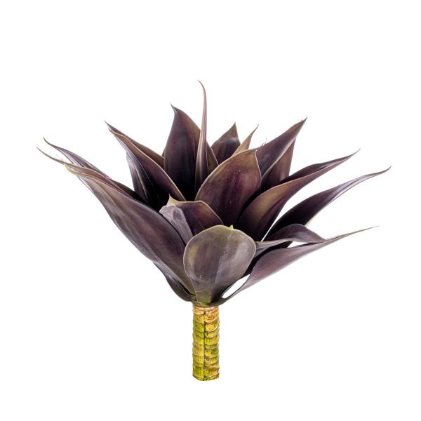 ALOE H.48 CM. MARRONE/VERDE ALOE H.48 CM. MARRONE/VERDE