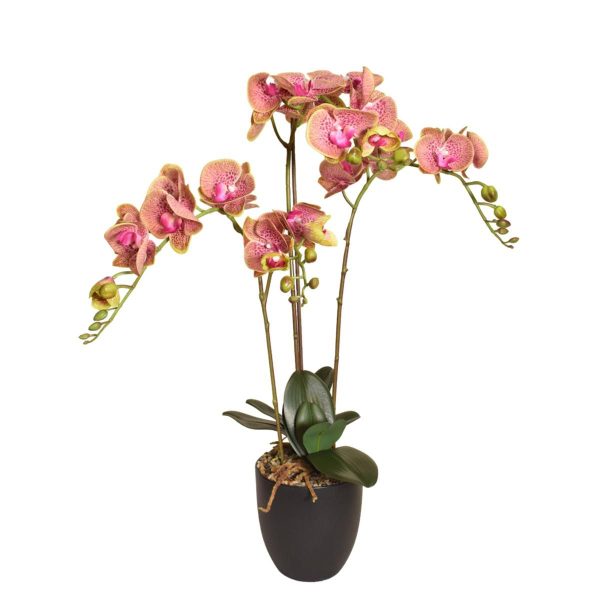 PHALAENOPSIS PIANTA C/VASO NATURALTOUCH CM.80 FUCSIA PHALAENOPSIS PIANTA C/VASO NATURALTOUCH CM.80 FUCSIA