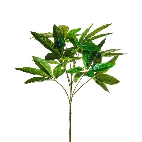 ARALIA FOGLIA 9X CM.50 VERDE ARALIA FOGLIA 9X CM.50 VERDE