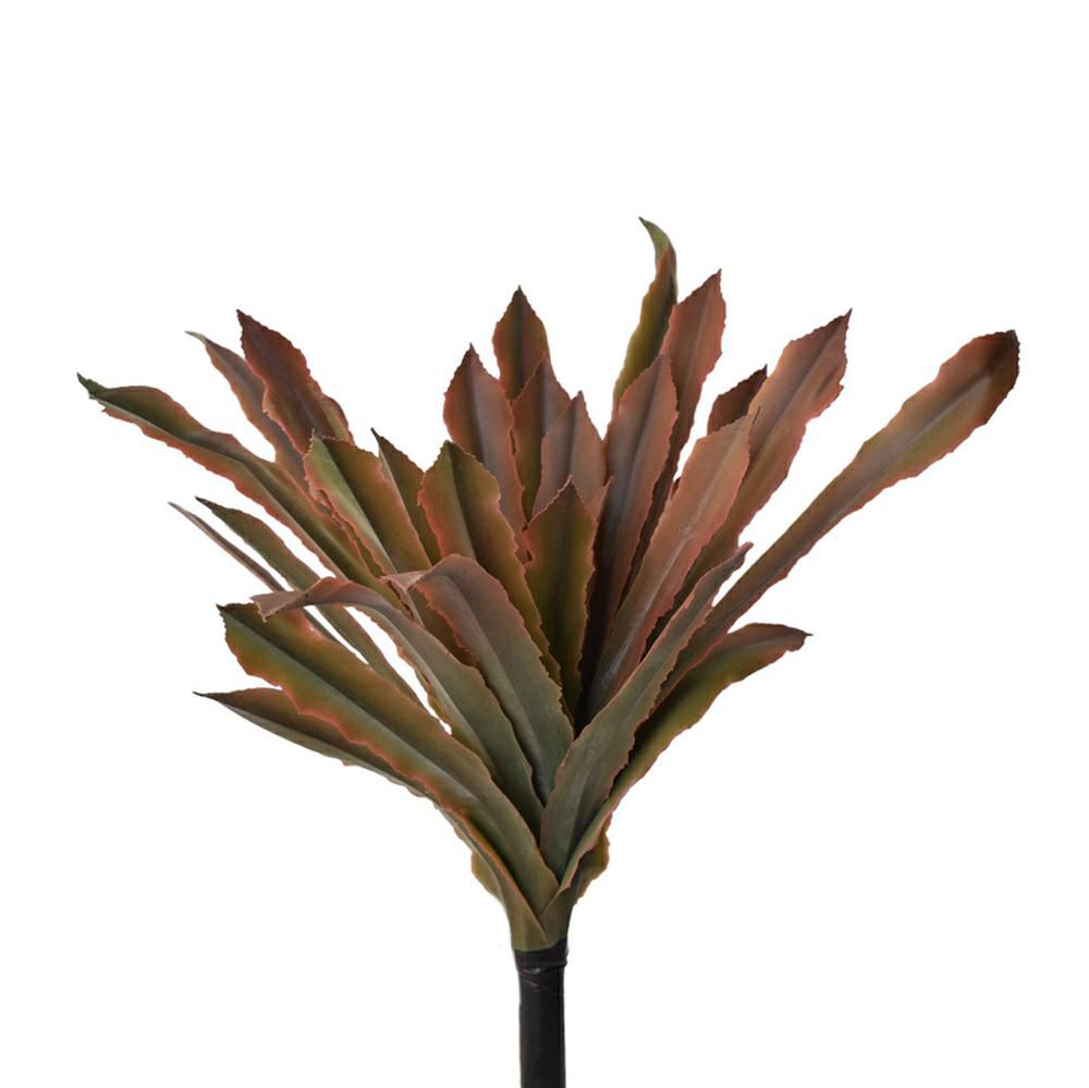 DRACENA PIANTA CM.33 VERDE/BORDEAUX