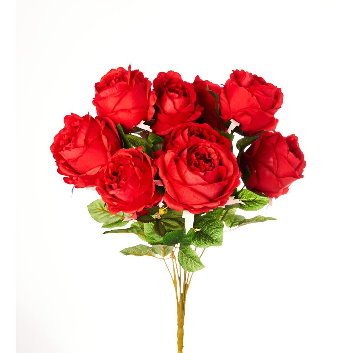 ROSA CABBAGE BUSH 10X H.50 CM ROSSO ROSA CABBAGE BUSH 10X H.50 CM ROSSO