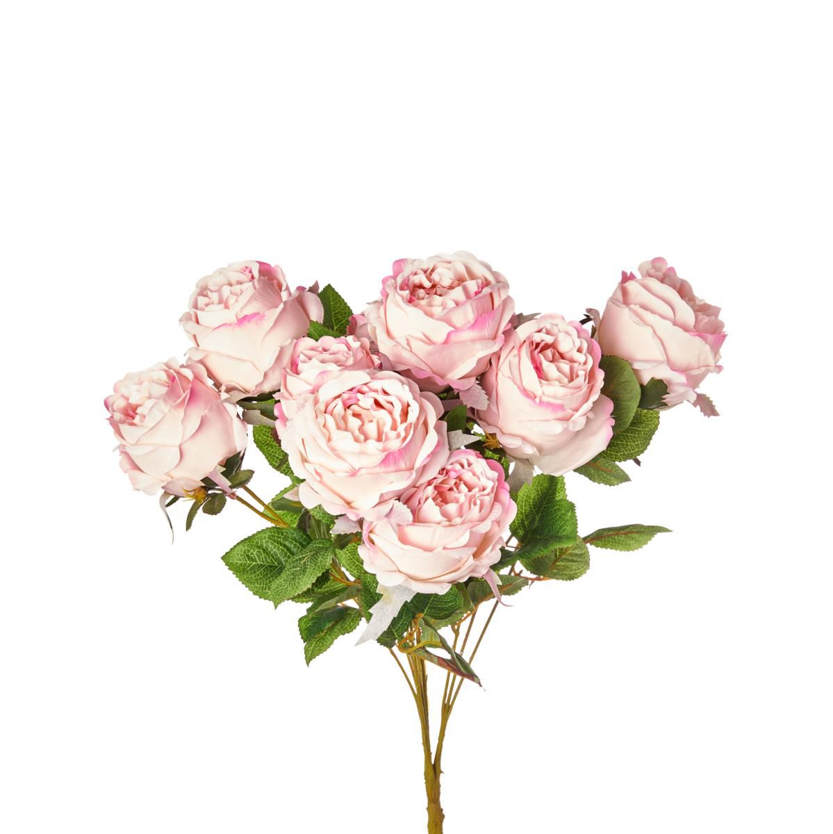 ROSA CABBAGE BUSH 10X H.50 CM ROSA CHIARO ROSA CABBAGE BUSH 10X H.50 CM ROSA CHIARO