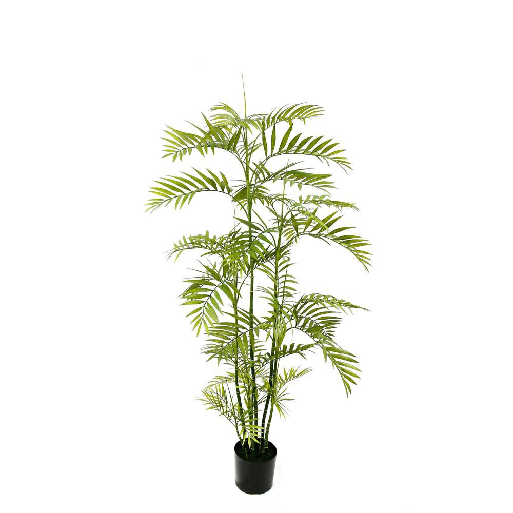 ARECA PIANTA C/VASO CM.177 VERDE ARECA PIANTA C/VASO CM.177 VERDE