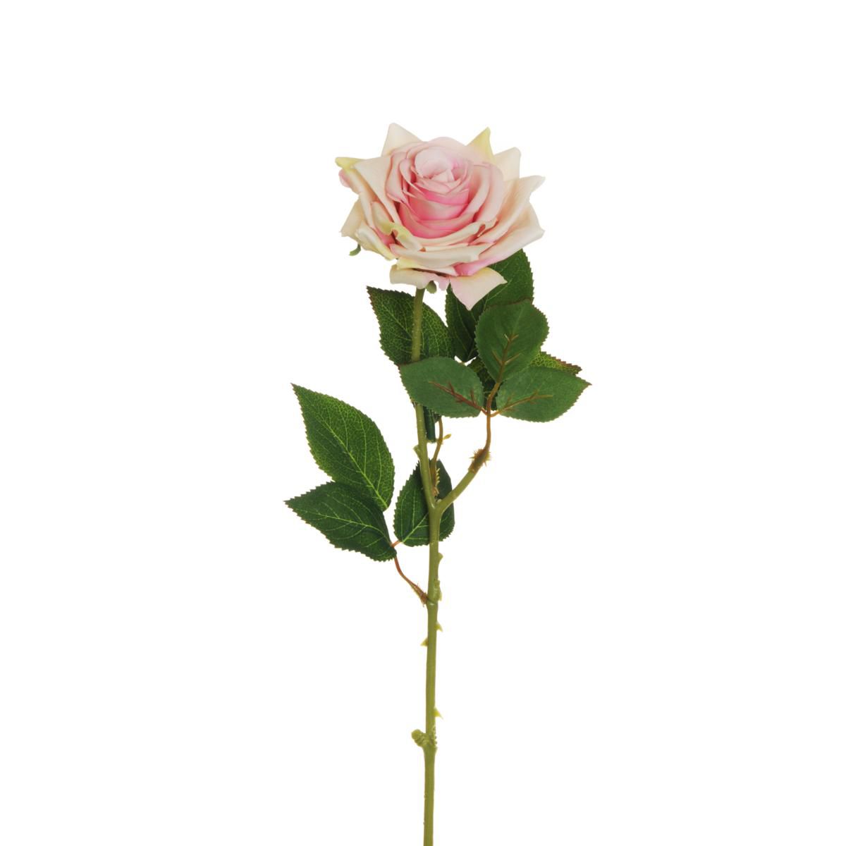 ROSA APERTA 1 FIORE H.64 CM CREMA/ROSA ROSA APERTA 1 FIORE H.64 CM CREMA/ROSA