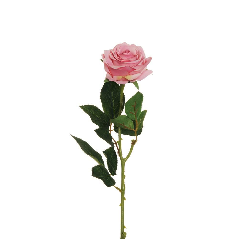 ROSA ECUADOR 1F CM.65 MALVA