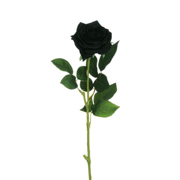 ROSA ECUADOR 1F CM.65 NERO ROSA ECUADOR 1F CM.65 NERO