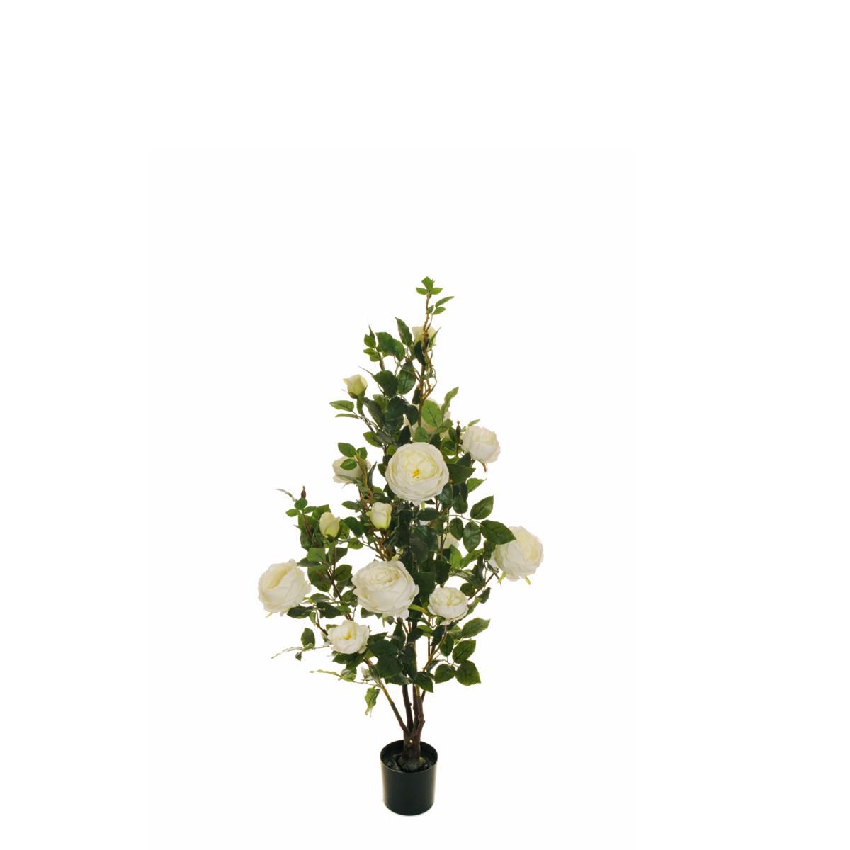 ROSA CABBAGE IN PIANTA C/VASO FOGLIE REAL TOUCH H.110 CM CREMA ROSA CABBAGE IN PIANTA C/VASO FOGLIE REAL TOUCH H.110 CM CREMA