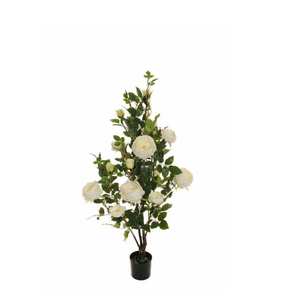 ROSA CABBAGE IN PIANTA C/VASO FOGLIE REAL TOUCH H.140 CM CREMA ROSA CABBAGE IN PIANTA C/VASO FOGLIE REAL TOUCH H.140 CM CREMA