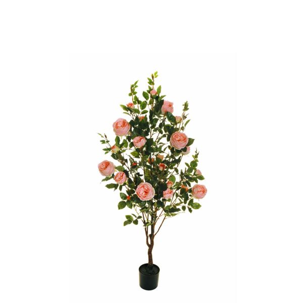 ROSA CABBAGE IN PIANTA C/VASO FOGLIE REAL TOUCH H.140 CM SALMONE ROSA CABBAGE IN PIANTA C/VASO FOGLIE REAL TOUCH H.140 CM SALMONE