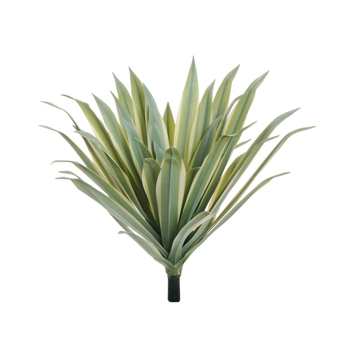 AGAVE RUBBER PIANTA 44XD.60 CM H.52 CM VERDE/CREMA/GIALLO