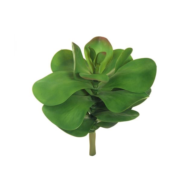 ECHEVERIA GIGANTE POLY D.33 CM H.43 CM VERDE ECHEVERIA GIGANTE POLY D.33 CM H.43 CM VERDE