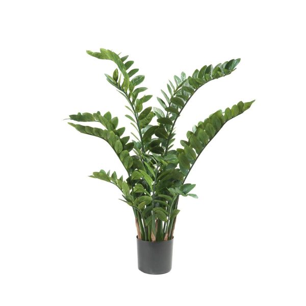 ZAMIOCULCAS PIANTA C/VASO 15X 331F CM.130 VERDE ZAMIOCULCAS PIANTA C/VASO 15X 331F CM.130 VERDE