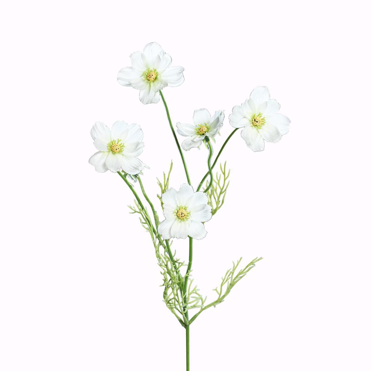 COSMOS SPAY 5X CM.67 BIANCO COSMOS SPAY 5X CM.67 BIANCO