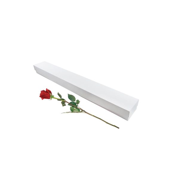 SCATOLA ROSA SINGOLA 7.7X6.6 CM H.69 CM -ROSES GIFT- BIANCO SCATOLA ROSA SINGOLA 7.7X6.6 CM H.69 CM -ROSES GIFT- BIANCO