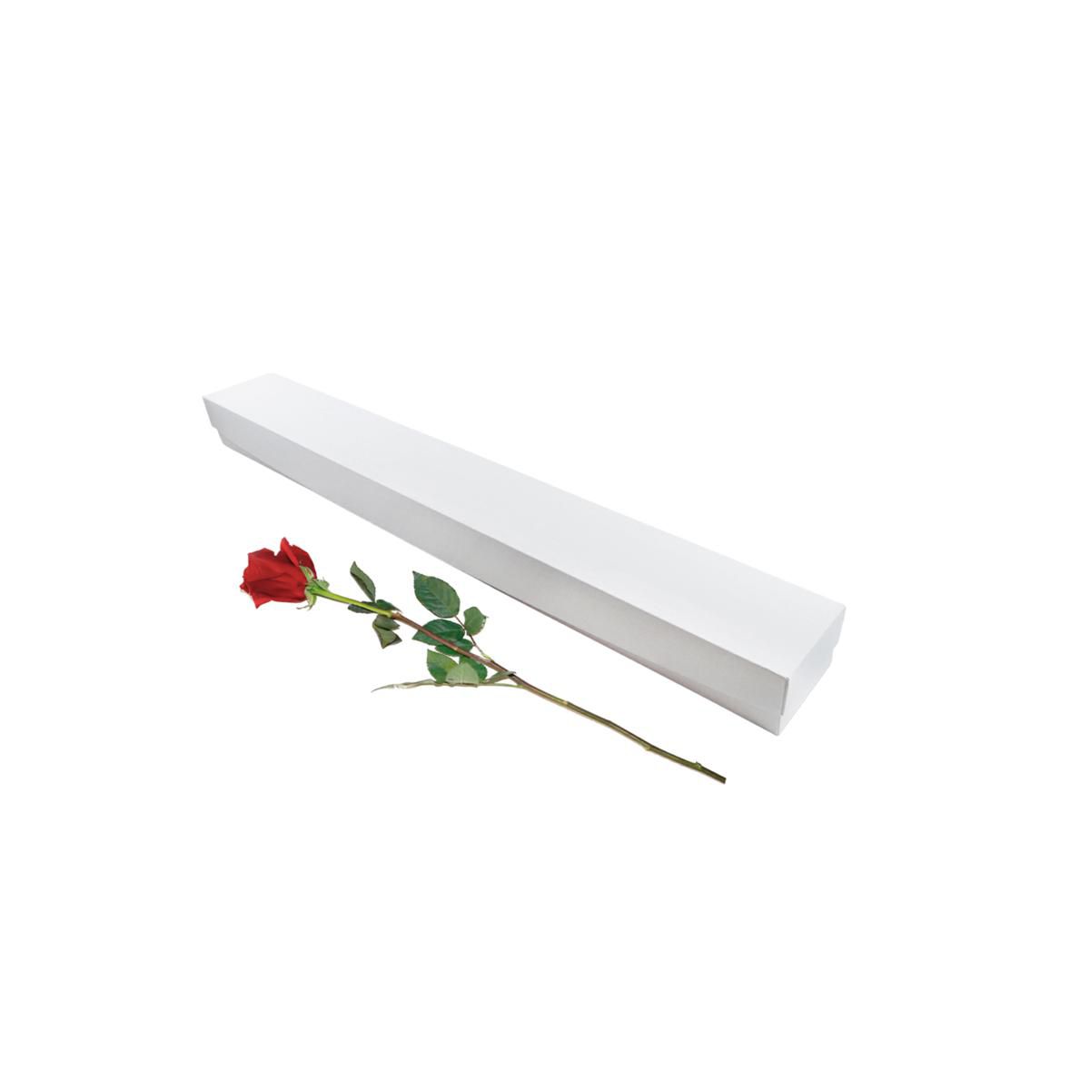 SCATOLA ROSA SINGOLA 7.7X6.6 CM H.69 CM -ROSES GIFT- BIANCO SCATOLA ROSA SINGOLA 7.7X6.6 CM H.69 CM -ROSES GIFT- BIANCO