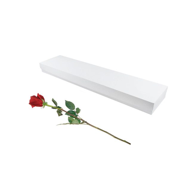 SCATOLA MULTI ROSA 15X6.6 CM H.69 CM -ROSES GIFT- BIANCO SCATOLA MULTI ROSA 15X6.6 CM H.69 CM -ROSES GIFT- BIANCO