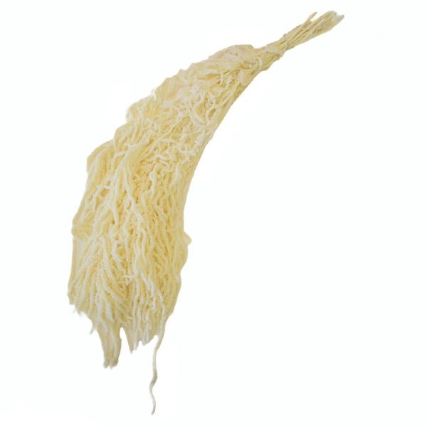 AMARANTHUS CAUD. GR.150CM.70 BIANCO 01 AMARANTHUS CAUD. GR.150CM.70 BIANCO 01