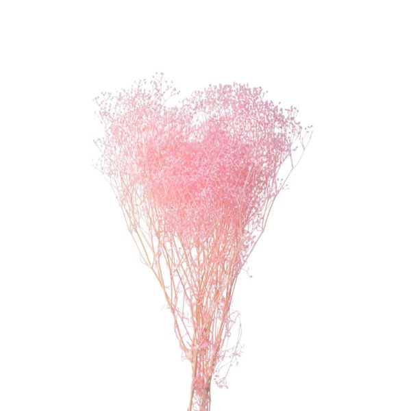 MINI GYPSOPHILA SACCHETTO GR.50 ROSA 109/P MINI GYPSOPHILA SACCHETTO GR.50 ROSA 109/P