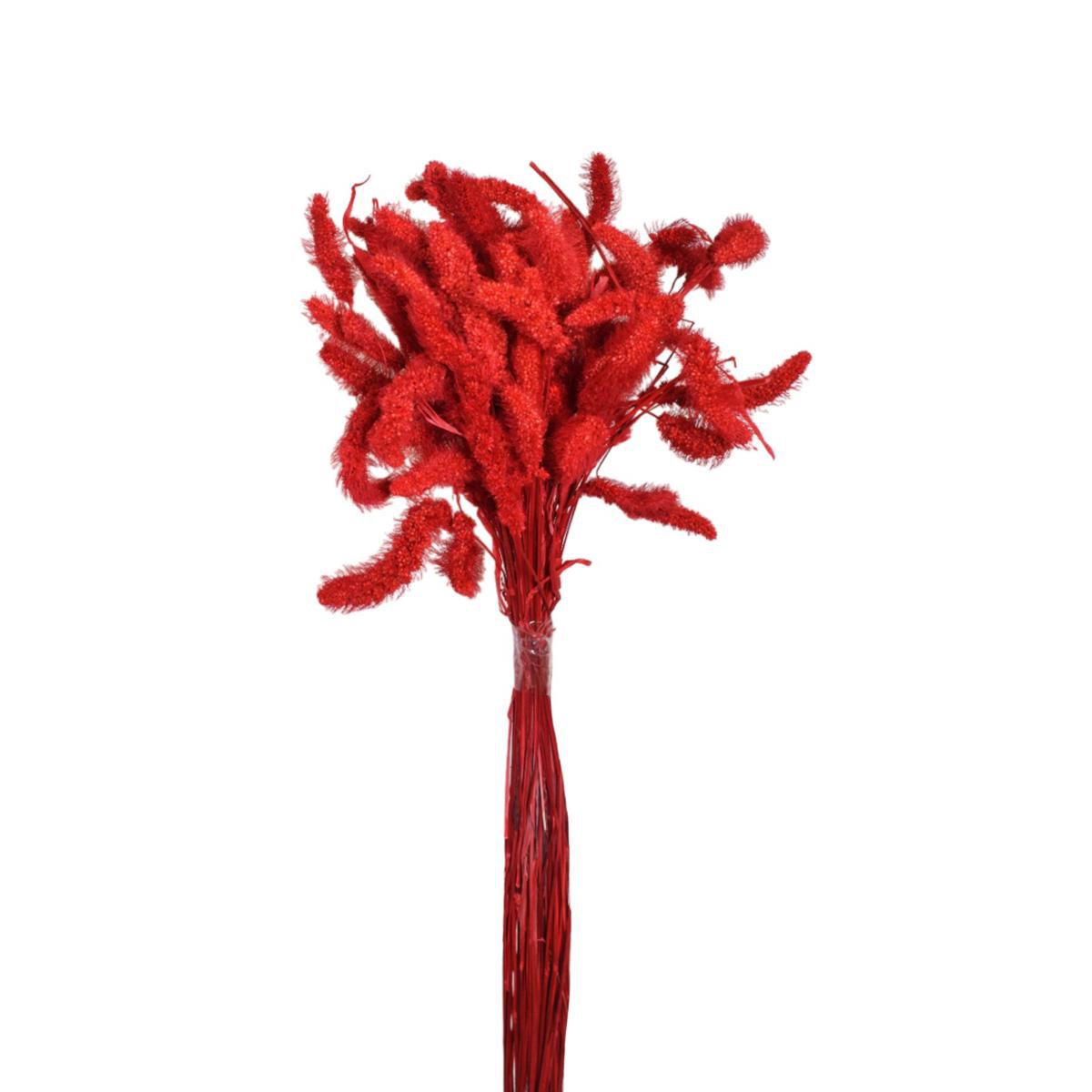 SETARIA CONF.GR.100 CM.75 ROSSO 10/P SETARIA CONF.GR.100 CM.75 ROSSO 10/P