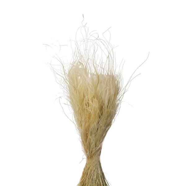 STIPA PENNATA C/PAGLIA SACCHETTO X 100 GR. NATURALE STIPA PENNATA C/PAGLIA SACCHETTO X 100 GR. NATURALE