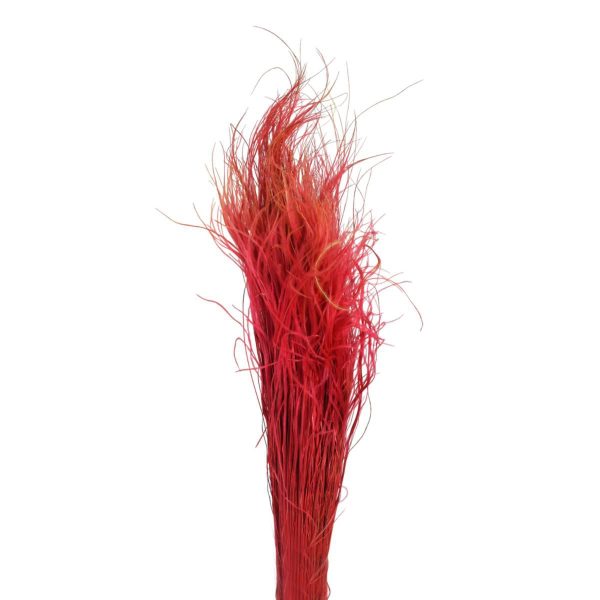 STIPA PENNATA C/PAGLIA SACCHETTO X 100 GR. ROSSO/10 STIPA PENNATA C/PAGLIA SACCHETTO X 100 GR. ROSSO/10