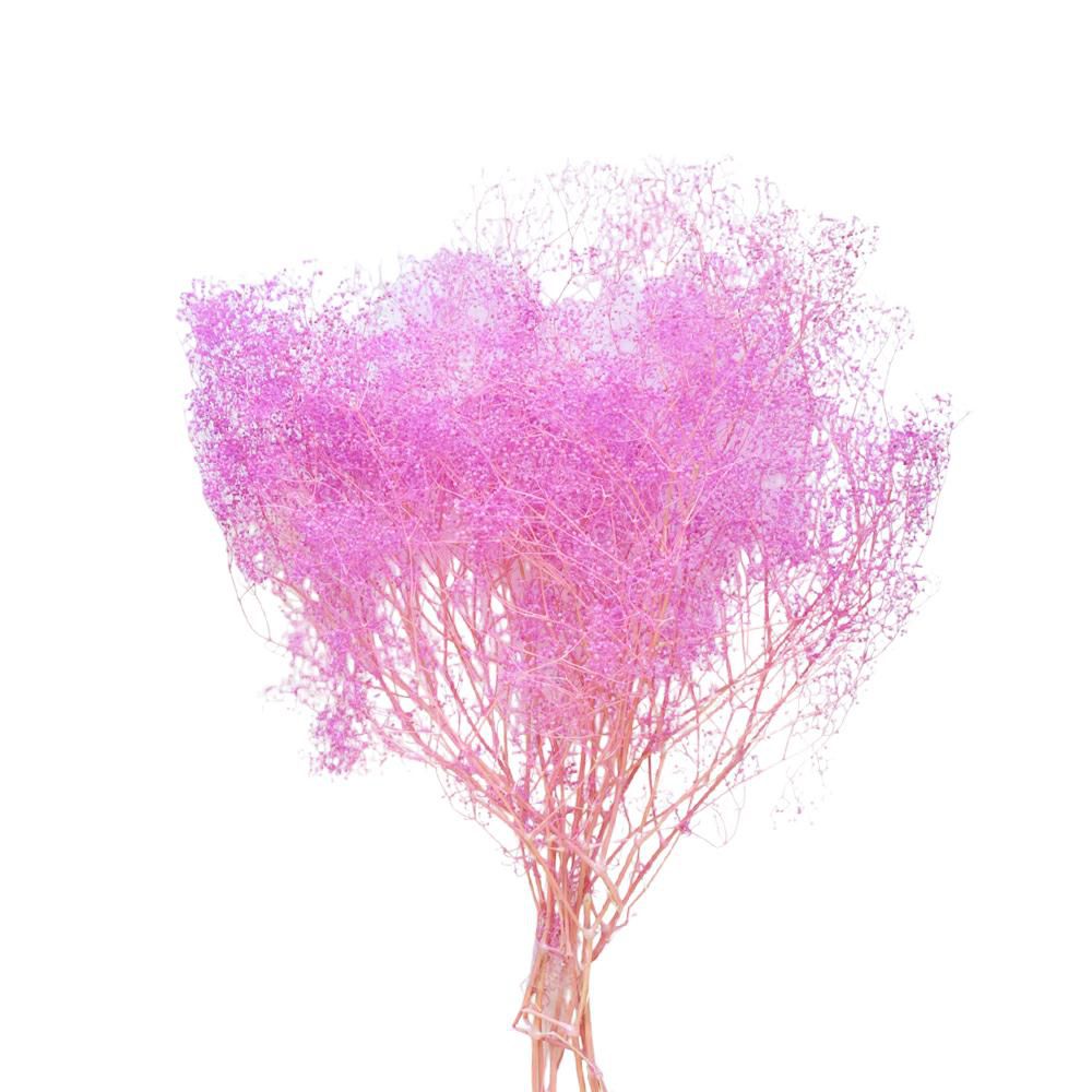 MINI GYPSOPHILA SACCHETTO GR.50 CM.52 AMETISTA 118/P