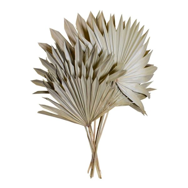 SUN SPEAR MEDIO SACCHETTO X 10 PZ NATURALE SUN SPEAR MEDIO SACCHETTO X 10 PZ NATURALE