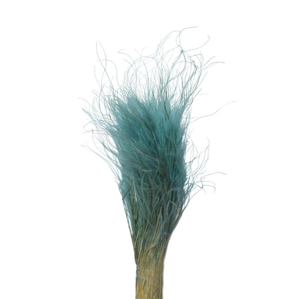 STIPA PENNATA C/PAGLIA SACCHETTO X 100 GR. BABY BLUE/15 STIPA PENNATA C/PAGLIA SACCHETTO X 100 GR. BABY BLUE/15