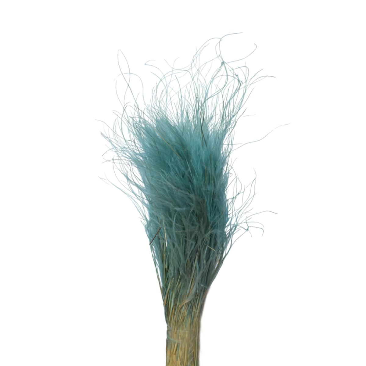 STIPA PENNATA C/PAGLIA SACCHETTO X 100 GR. BABY BLUE/15 STIPA PENNATA C/PAGLIA SACCHETTO X 100 GR. BABY BLUE/15
