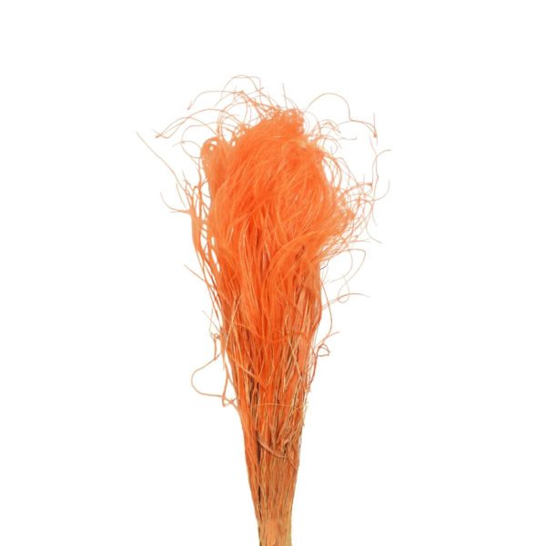 STIPA PENNATA C/PAGLIA SACCHETTO X 100 GR. ARANCIO/CH07 STIPA PENNATA C/PAGLIA SACCHETTO X 100 GR. ARANCIO/CH07