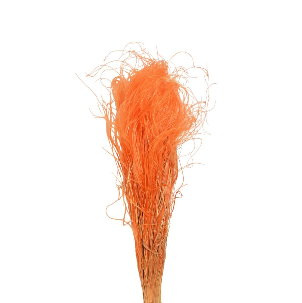 STIPA PENNATA C/PAGLIA SACCHETTO X 100 GR. ARANCIO/CH07 STIPA PENNATA C/PAGLIA SACCHETTO X 100 GR. ARANCIO/CH07