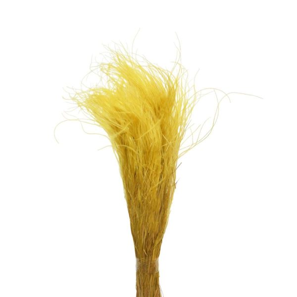 STIPA PENNATA C/PAGLIA SACCHETTO X 100 GR. GIALLO/02 STIPA PENNATA C/PAGLIA SACCHETTO X 100 GR. GIALLO/02