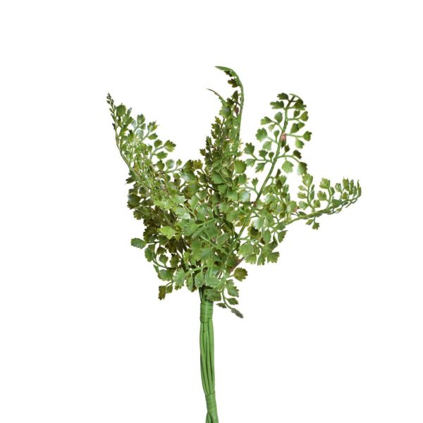 CAPELVENERE MAIDENHAIR BUNDLE 3X CM.35 VERDE CAPELVENERE MAIDENHAIR BUNDLE 3X CM.35 VERDE