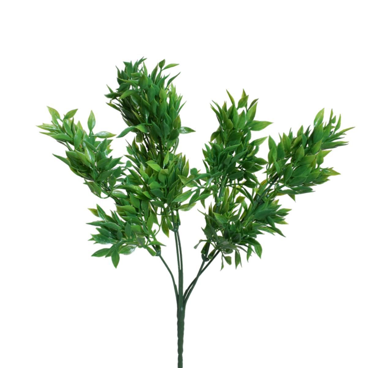 RUSCUS BUSH CM.35 VERDE