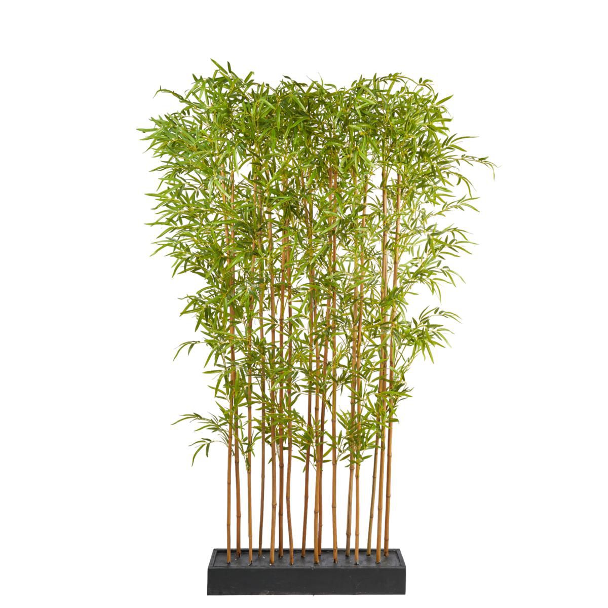 BAMBOO PIANTA SEPARE CM.190 VERDE BAMBOO PIANTA SEPARE CM.190 VERDE