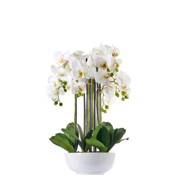 PHALAENOPSIS PIANTA C/VASO NATURAL TOUCH CM. 62 BIANC0 PHALAENOPSIS PIANTA C/VASO NATURAL TOUCH CM. 62 BIANC0