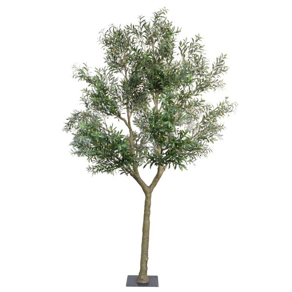 ULIVO PIANTA C/VASO CM.350 VERDE ULIVO PIANTA C/VASO CM.350 VERDE