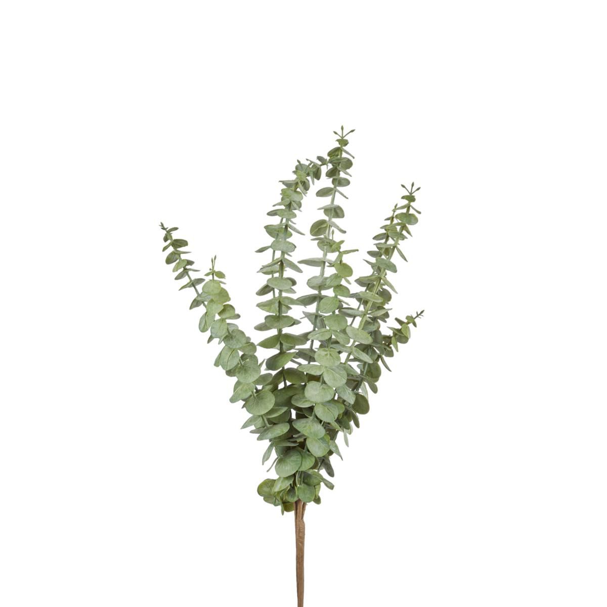 EUCALYPTO RAMO CM.55 VERDE