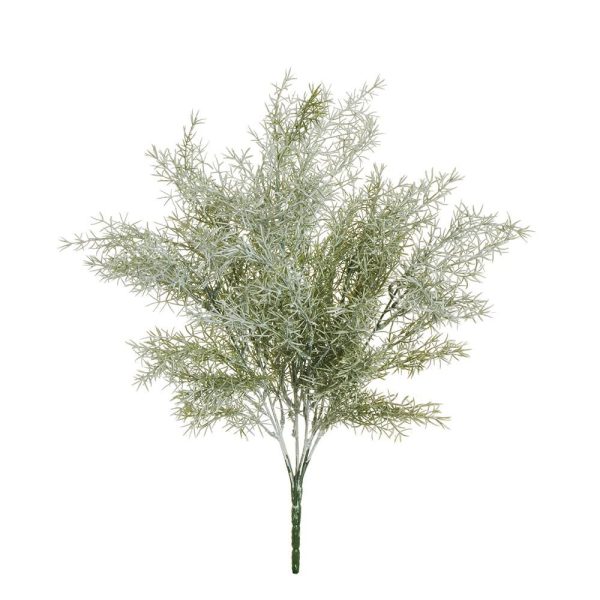 ASPARAGO BUSH 7X CM.51 VERDE ASPARAGO BUSH 7X CM.51 VERDE