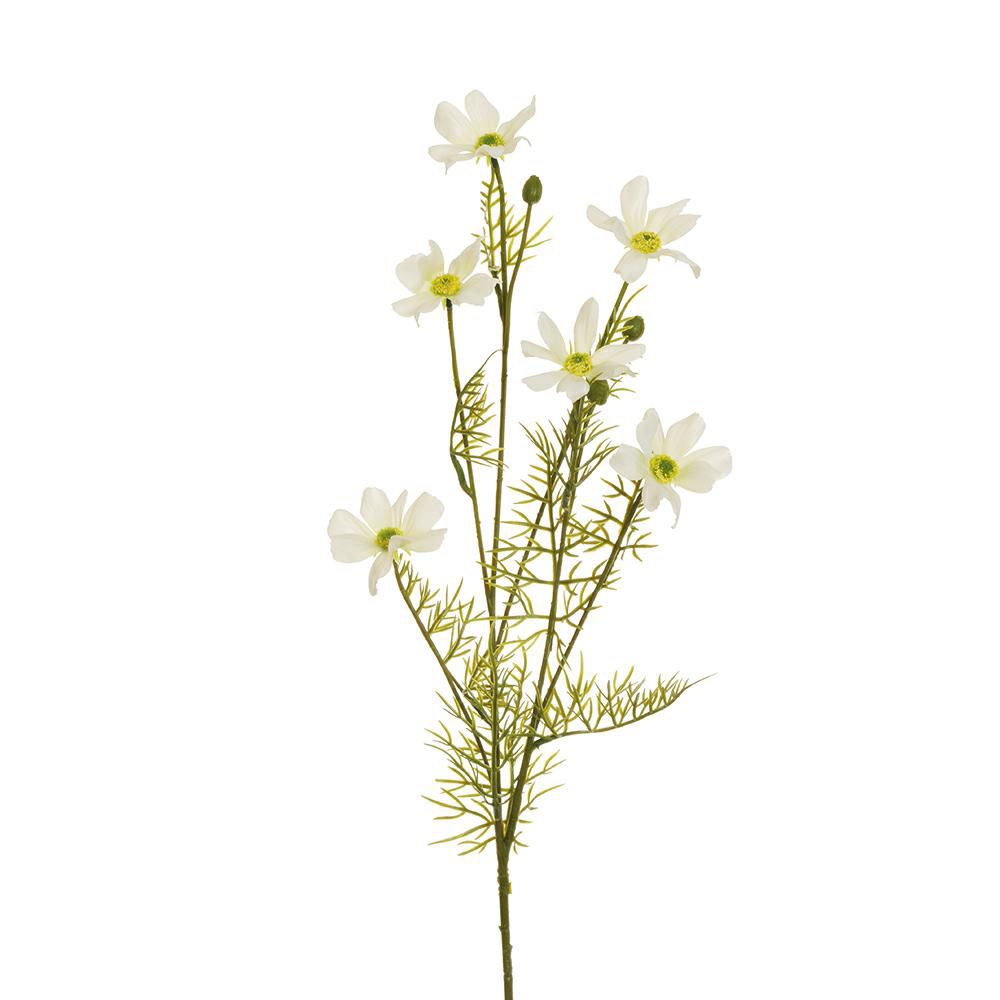 COSMOS SPAY 6X CM.80 BIANCO COSMOS SPAY 6X CM.80 BIANCO