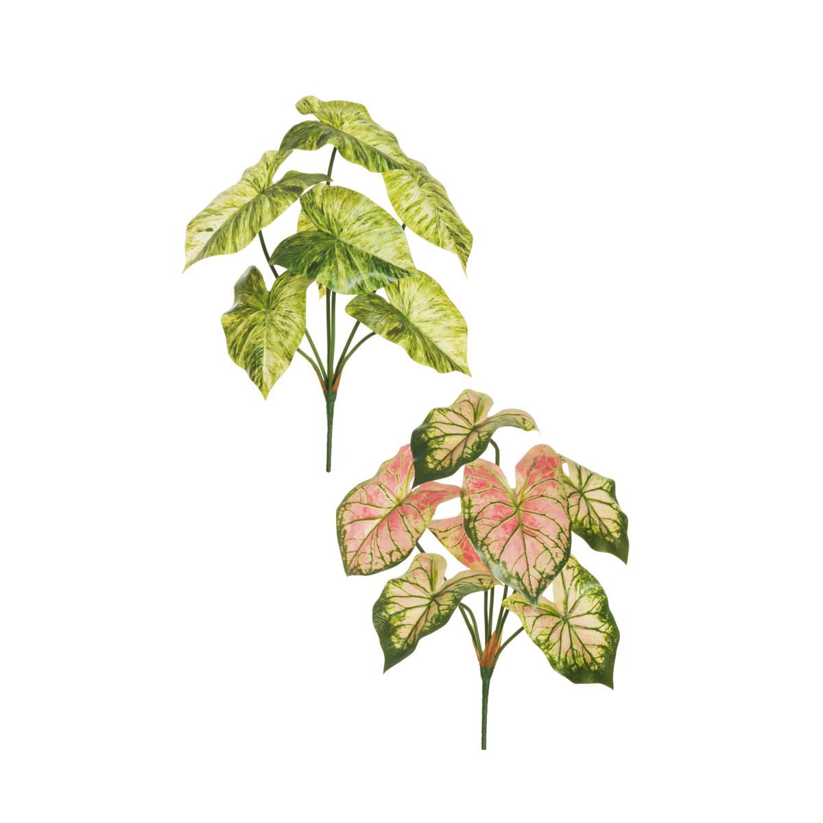 SET 2 CALADIUM BUSH 7X H.53 CM REEAL TOUCH VERDE/CREMA/ROSA