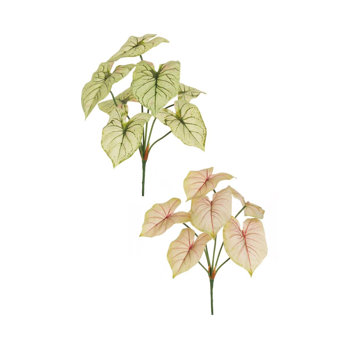 SET 2 CALADIUM BUSH 7X H.53 CM REEAL TOUCH VERDE/ROSA CHIARO