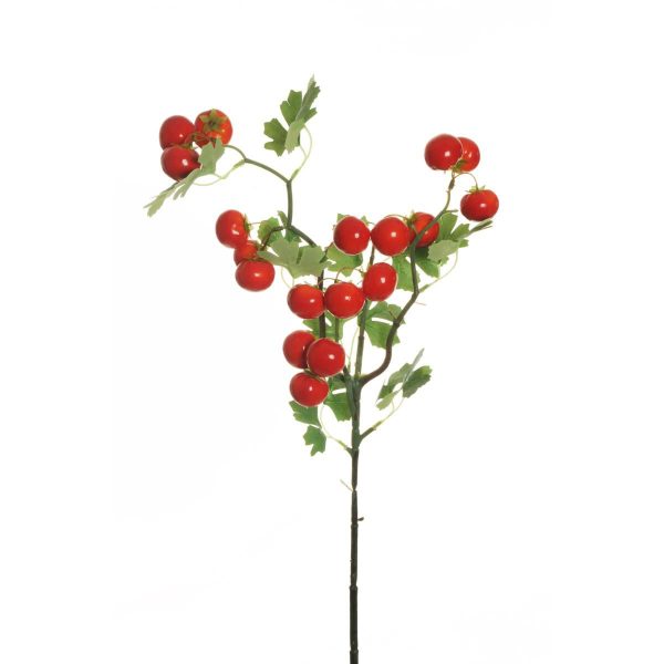 POMODORO RAMO 18X H.81 CM VERDE/ROSSO POMODORO RAMO 18X H.81 CM VERDE/ROSSO