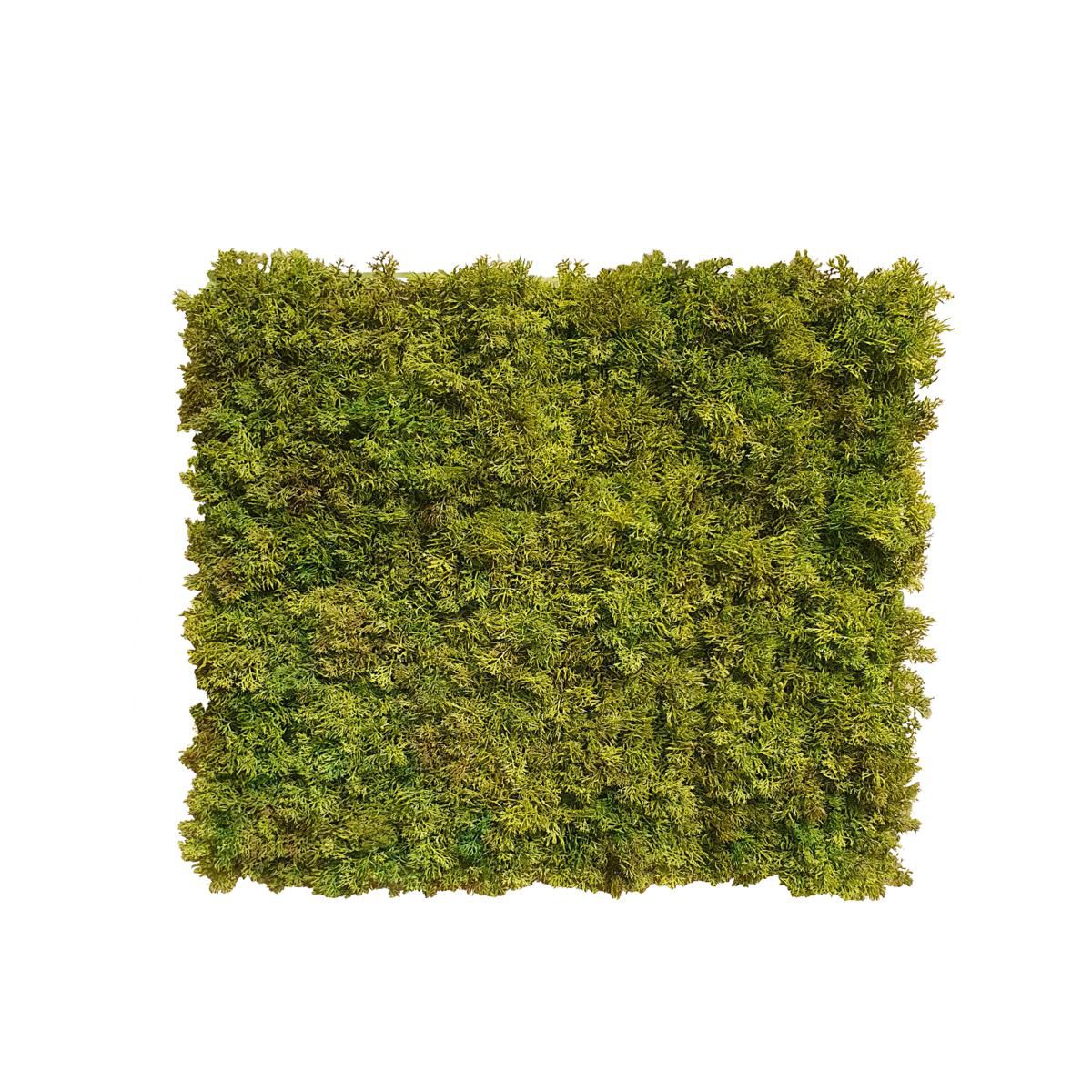 MATTONELLA NORDIC MOSS IGNIFUGO CM.50X50 VERDE/MARRONE MATTONELLA NORDIC MOSS IGNIFUGO CM.50X50 VERDE/MARRONE