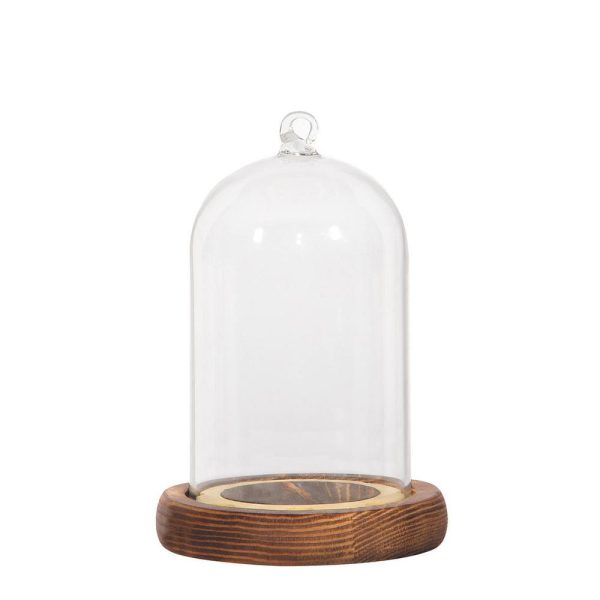 CALOTTA VETRO C/BASE LEGNO D.9 H.13,5 CM TRASPARENTE CALOTTA VETRO C/BASE LEGNO D.9 H.13,5 CM TRASPARENTE