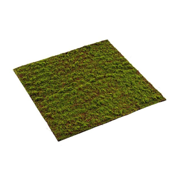 MATTONELLA MUSCHIO CM.100X100 VERDE MATTONELLA MUSCHIO CM.100X100 VERDE