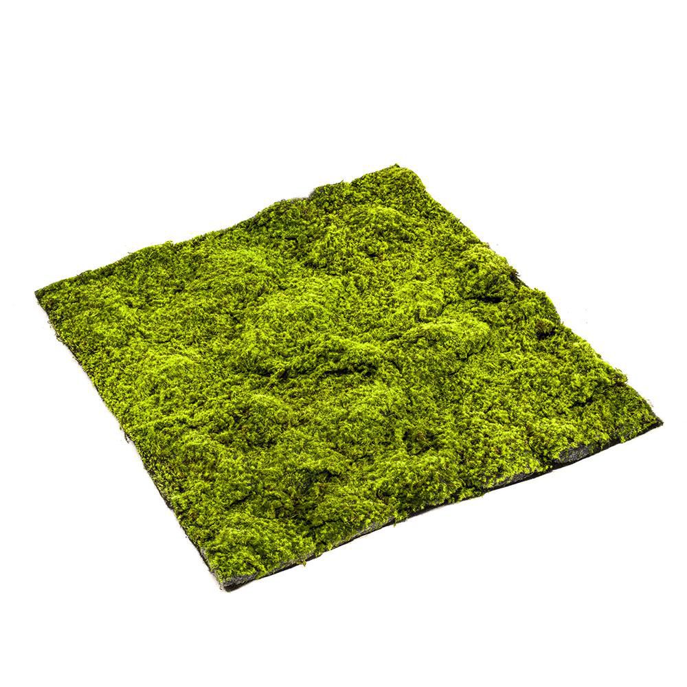 MATTONELLA MUSCHIO CM.100X100 VERDE MATTONELLA MUSCHIO CM.100X100 VERDE