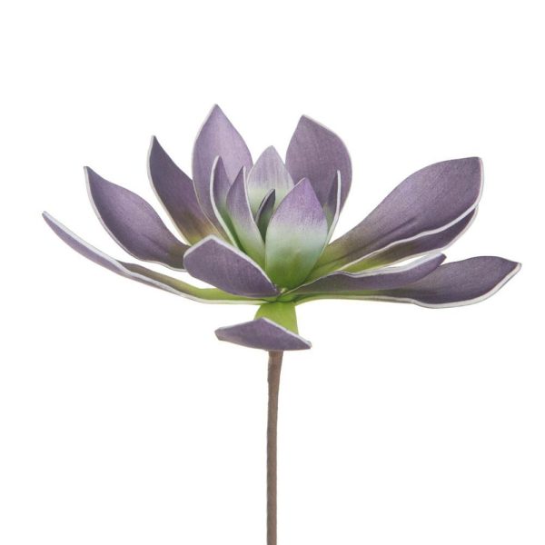 CACTUS FOAM CM.10 BURGUNDY/VERDE CHIARO CACTUS FOAM CM.10 BURGUNDY/VERDE CHIARO